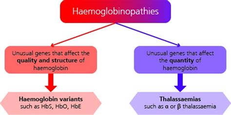 Overview of Hemoglobinopathies .